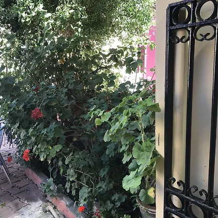 Гостьовий будинок Antik Ridvan 4*