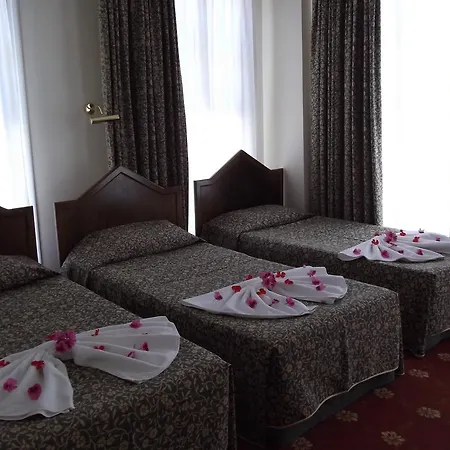 Гостьовий будинок Antik Ridvan 4*