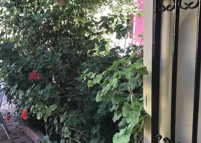 بيت ضيافة Antik Ridvan 3*