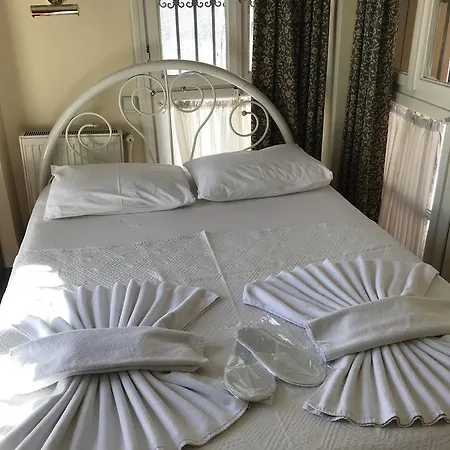 Guest house Antik Ridvan 4*