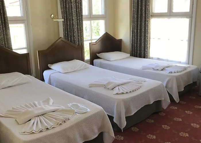 Antik Ridvan Гостьовий будинок Чешме