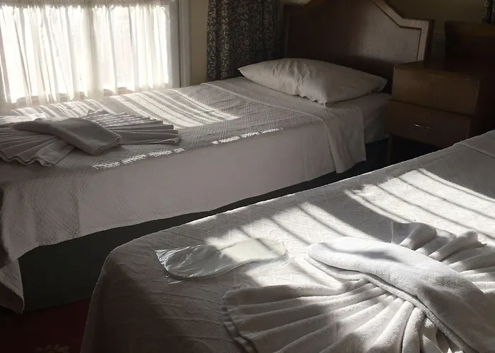 Antik Ridvan Гостьовий будинок 3*