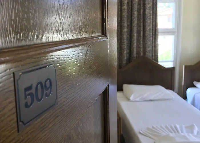 Antik Ridvan Чешме