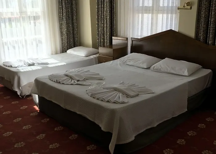 Гостьовий будинок Antik Ridvan