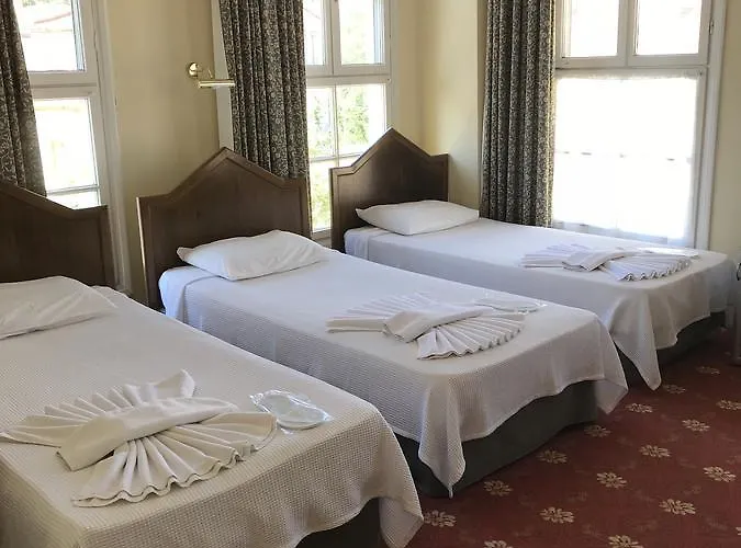 Гостьовий будинок Antik Ridvan 3*