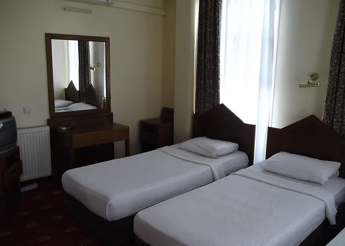 Гостьовий будинок Antik Ridvan Чешме